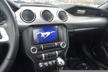 2021 Ford Mustang thumb11