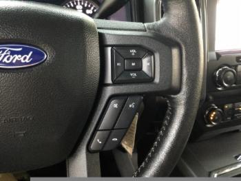 2019 Ford F-150 thumb8