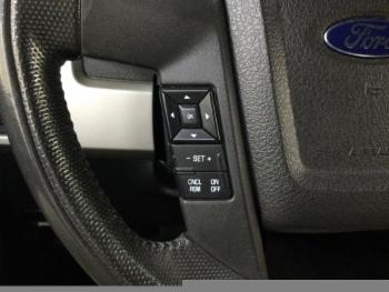 2013 Ford F-150 thumb10